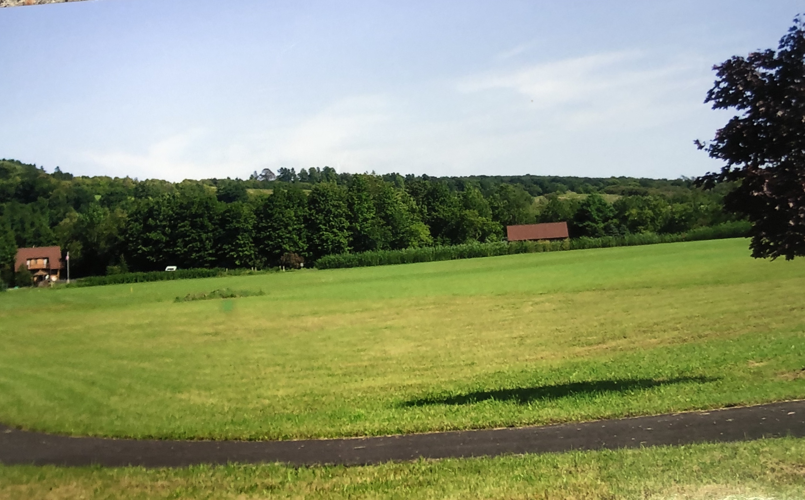 the upper feild